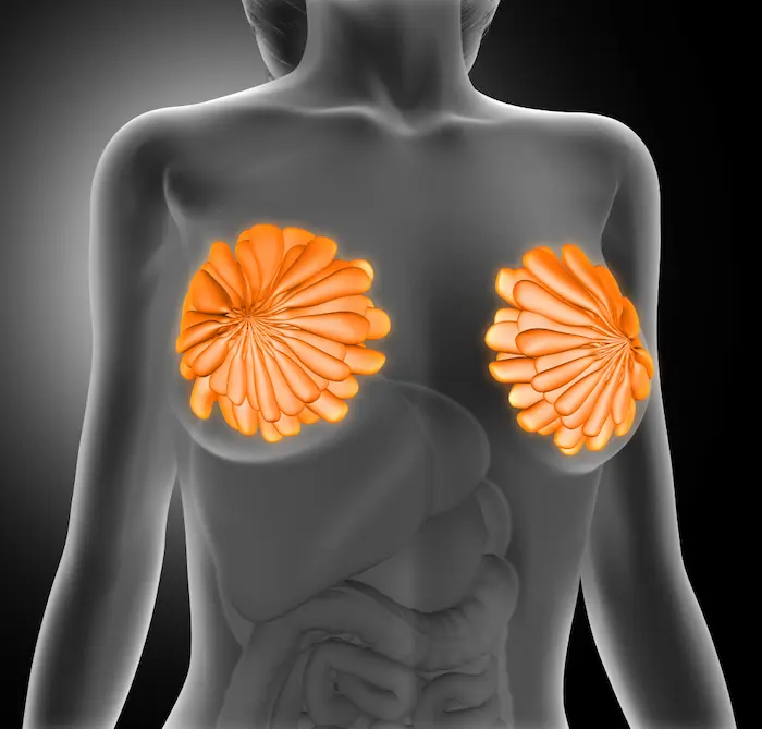 Écoulement du mamelon : quand faut-il s’inquiéter et quels examens faire ? Écoulement du mamelon : quand faut-il s’inquiéter et quels examens faire ?