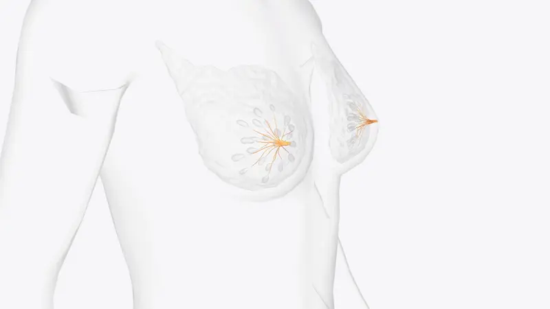 Est-ce qu'une biopsie mammaire veut dire cancer ?