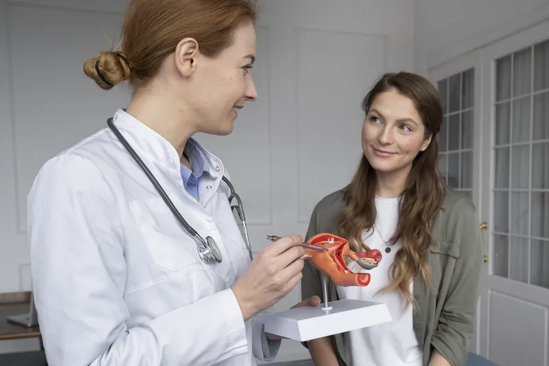 Médecin expliquant le fonctionnement de l'utérus à une patiente à l'aide d'une maquette anatomique